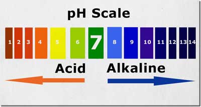 PH
